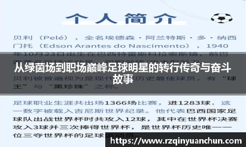从绿茵场到职场巅峰足球明星的转行传奇与奋斗故事